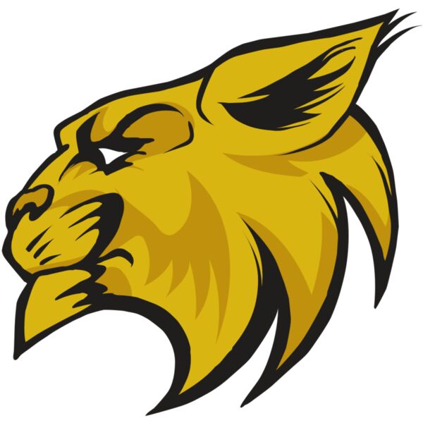 AR30 WILDCAT 02 RQC Thumbnail