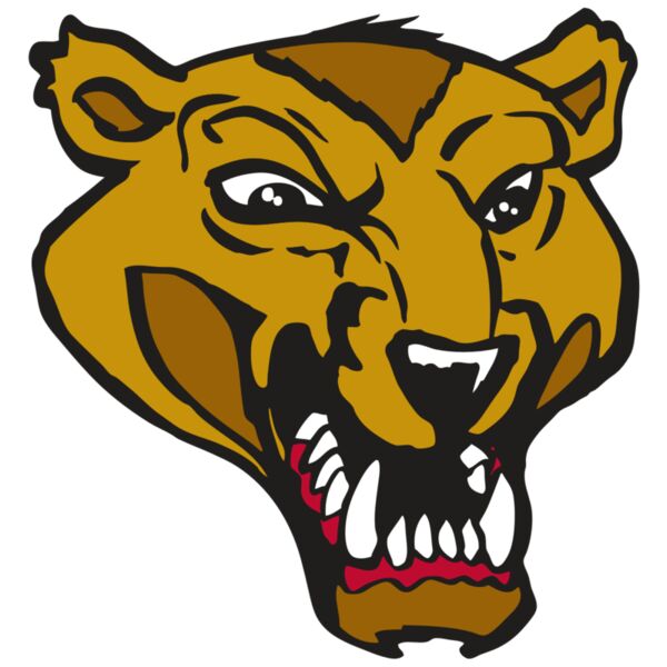 AR2 WOLVERINE 01 RQC Thumbnail